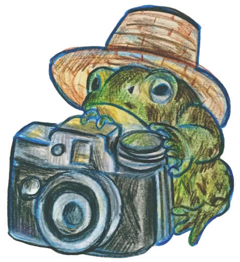 Toad